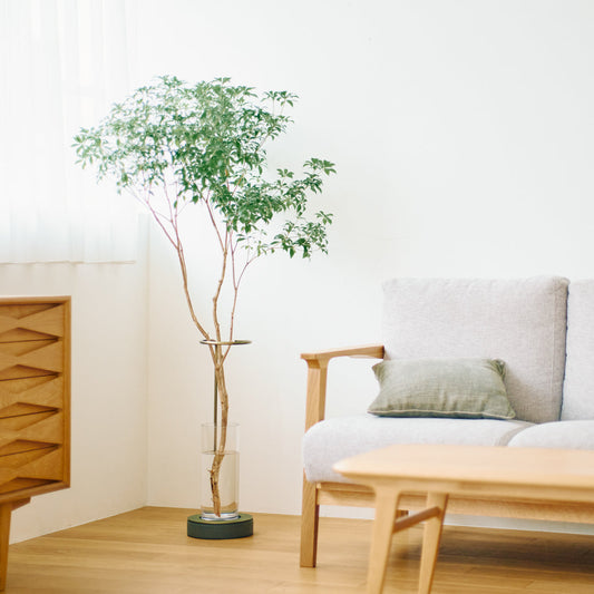 雑誌掲載『クロワッサン』2025年12月10日発行号